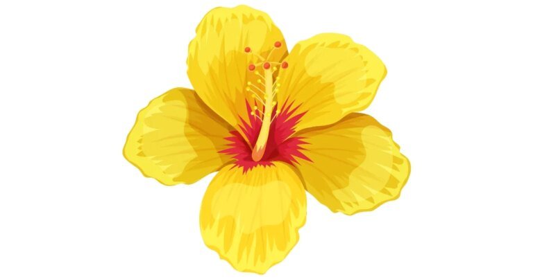 Guadeloupe
