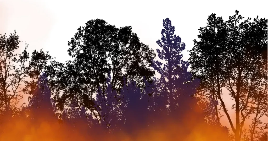 INCENDIES en Gironde